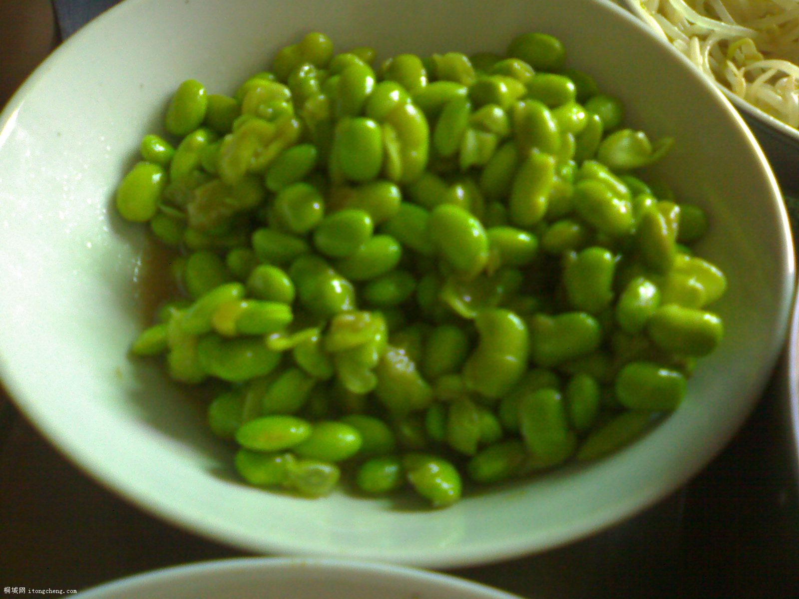 20100623066.jpg