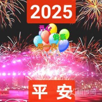 2025ƽ